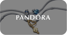 partner-https://pandora.kz